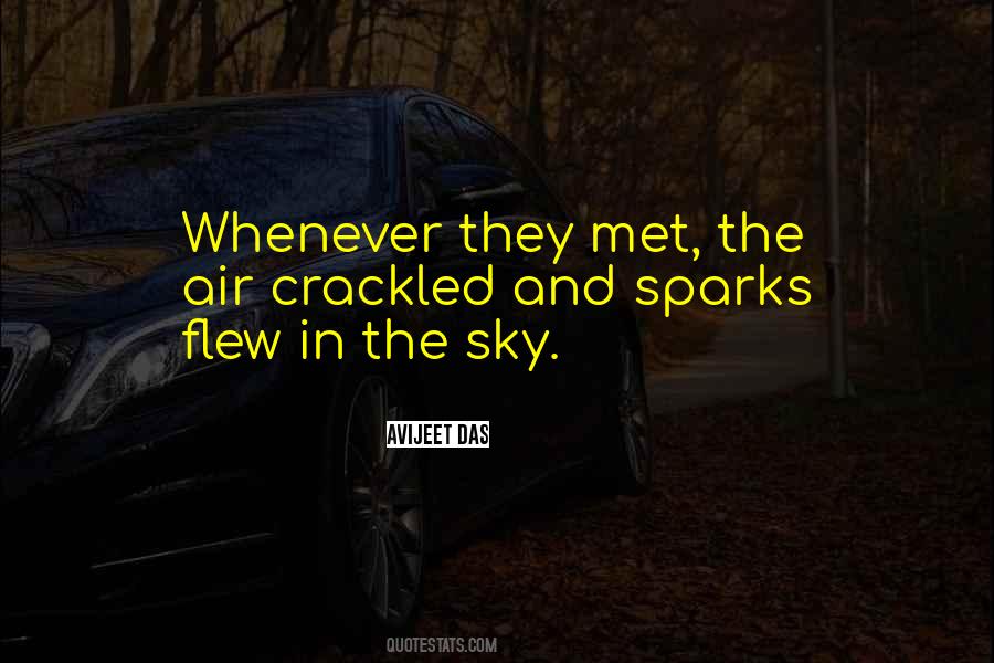 Central Park Five Quotes #851816