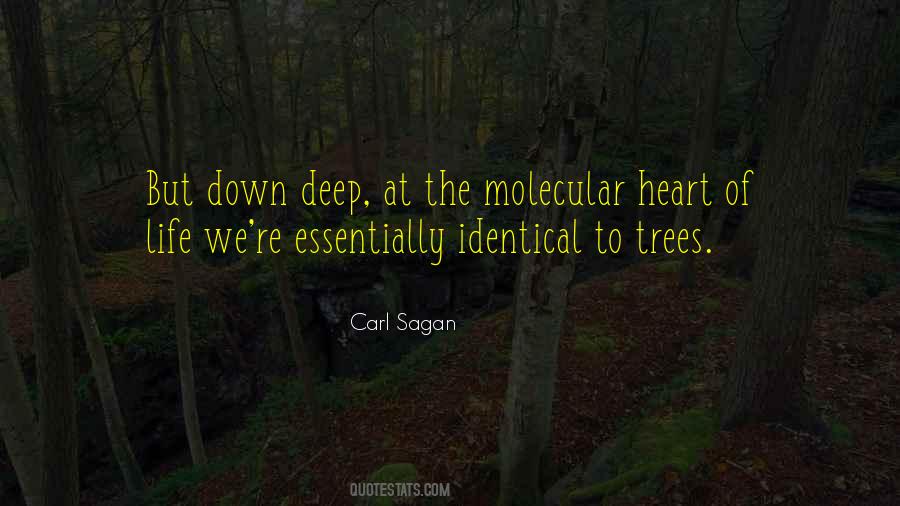 Life Tree Quotes #341752