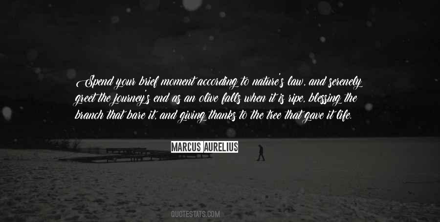 Life Tree Quotes #83909