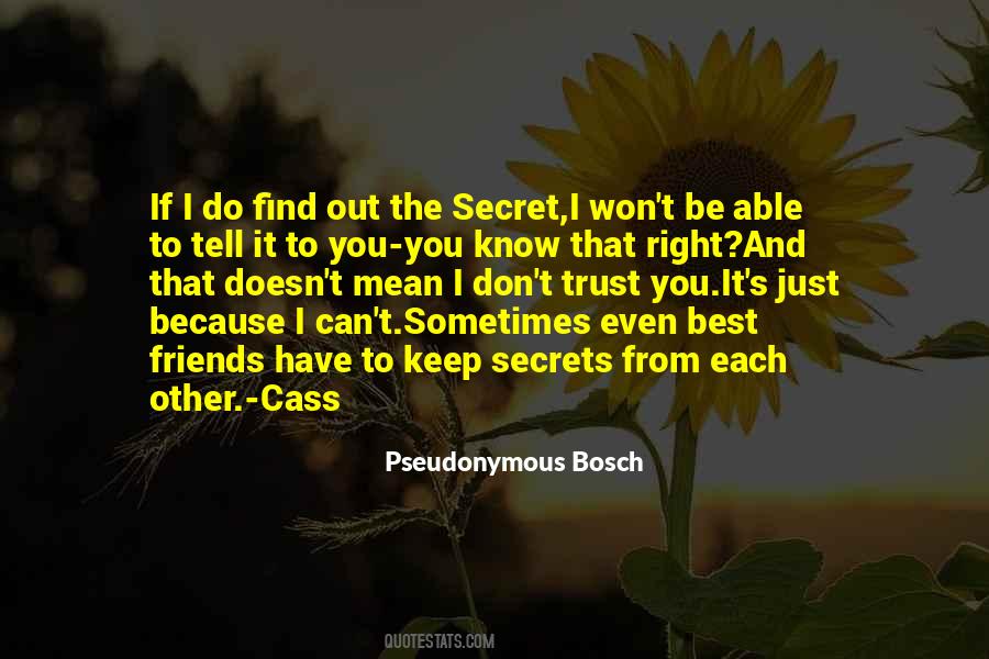 Friends Keep Secrets Quotes #1419013