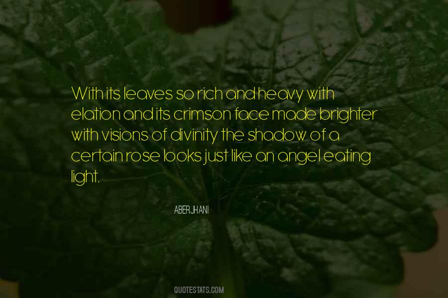 Light And Shadows Quotes #992840