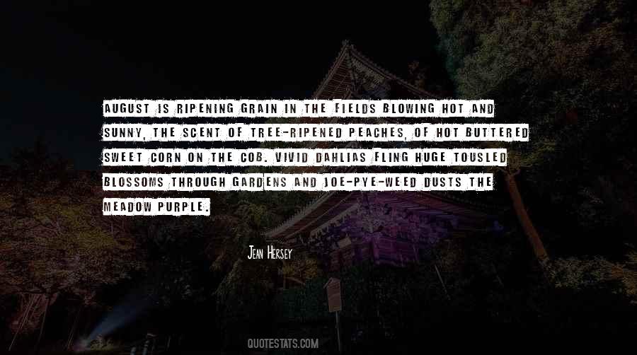 Kalomoira Age Quotes #733648