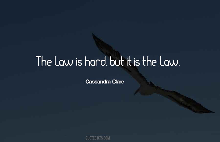 Black Swimmer Quotes #1650843