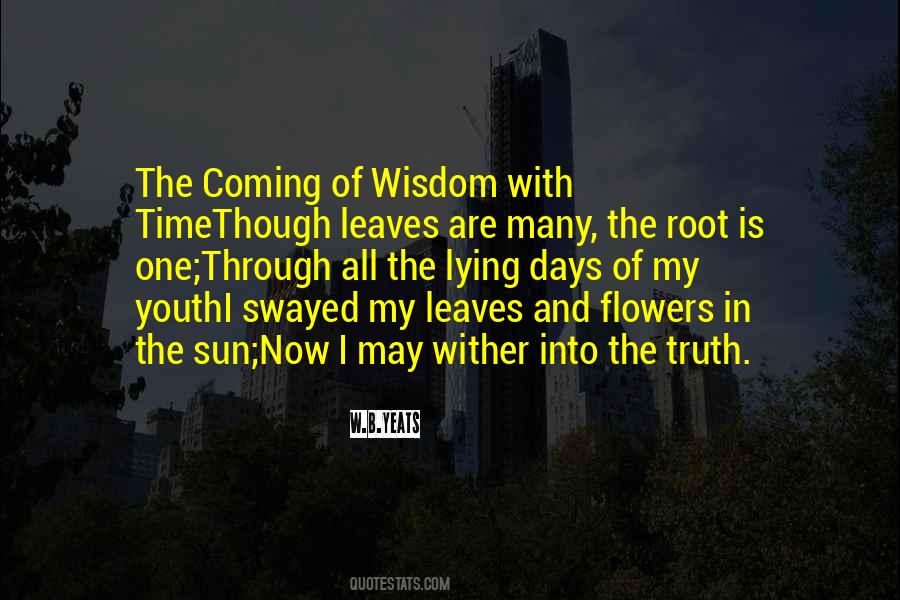 Wisdom Of Age Quotes #66632