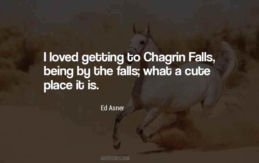 Chagrin Quotes #708306