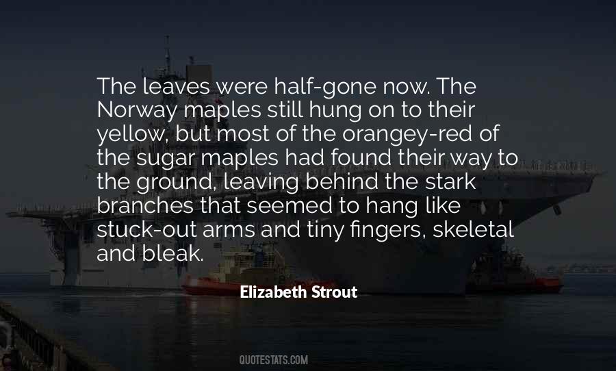 Drabiny Quotes #363306