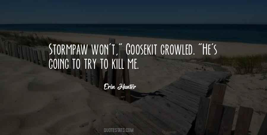 Irakli Gamer Quotes #38651