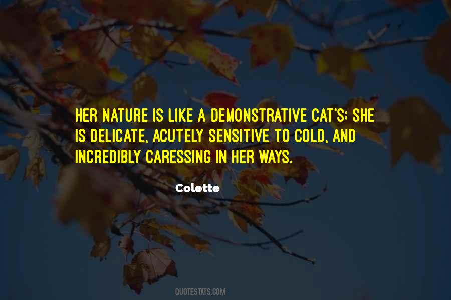 Sol Maya Tattoo Quotes #1375448