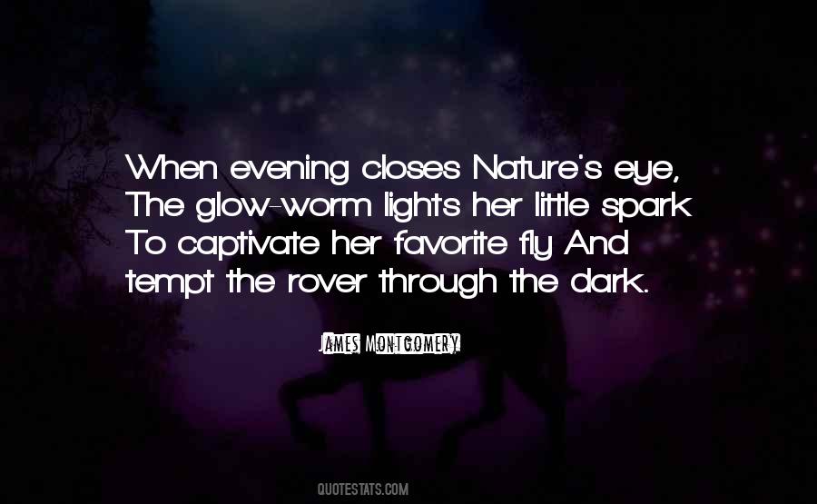 Quotes About Light Nature #580477