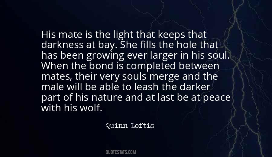 Quotes About Light Nature #690015