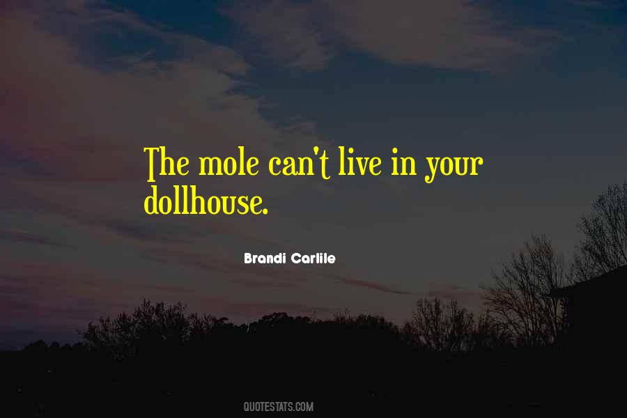 Poisonwood Rash Quotes #62248
