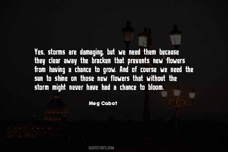Chance And Hope Quotes #542831