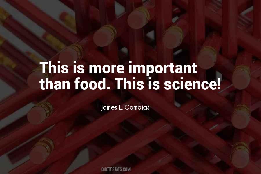 Bronzy Inca Quotes #588599