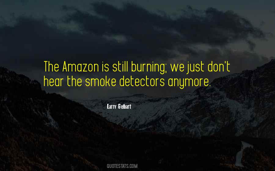Amazon Burning Quotes #1391030