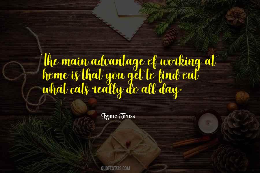 Dolna Crta Quotes #643322