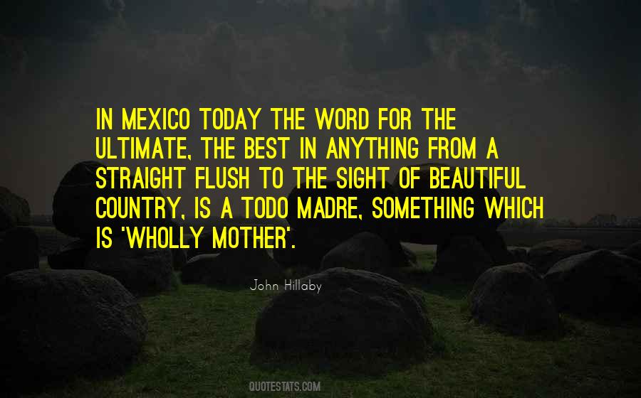 A Beautiful Country Quotes #148440