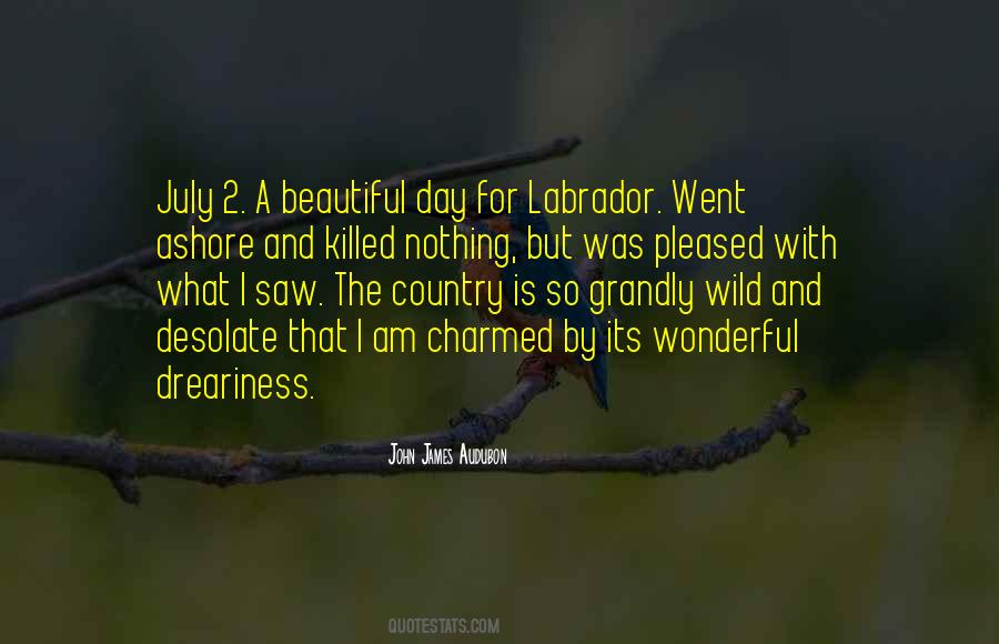 A Beautiful Country Quotes #353008