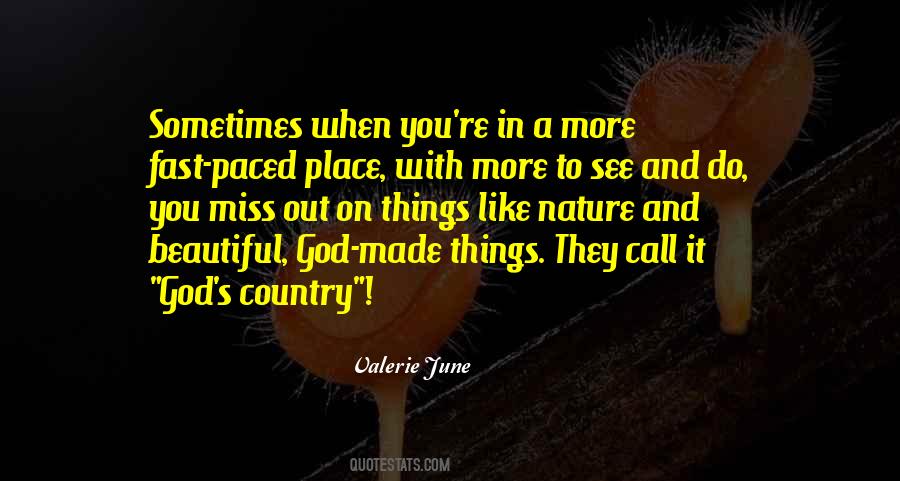 A Beautiful Country Quotes #808334