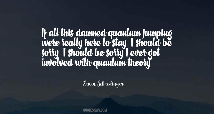 Schrodinger Theory Quotes #1280393