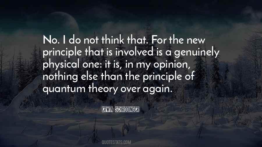 Schrodinger Theory Quotes #355623