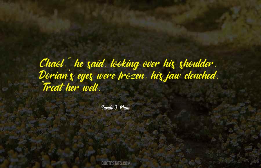 Chaol And Celaena Quotes #282383