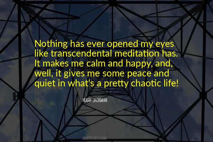 Chaotic Life Quotes #1727920