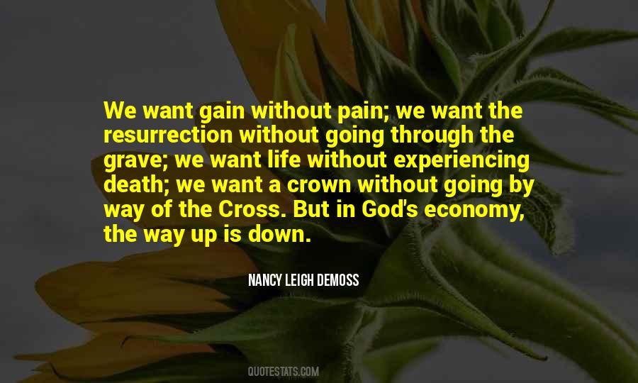 Quotes About Life Without Pain #1137396