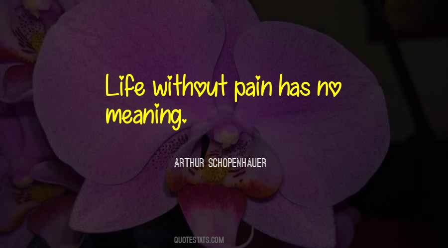 Quotes About Life Without Pain #727300