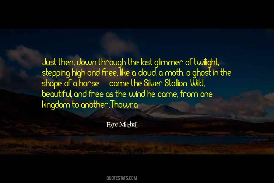 Silver Stallion Quotes #187742
