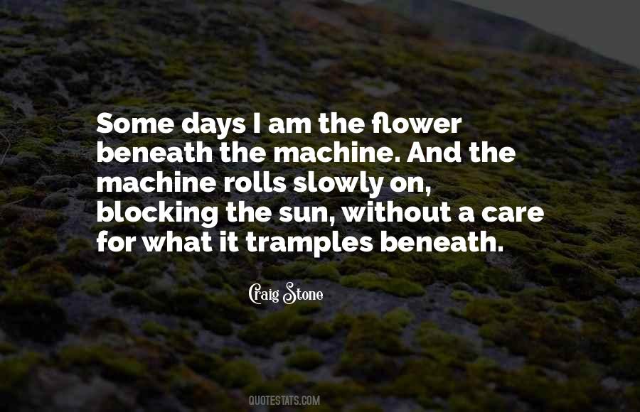 General Krulak Quotes #661780