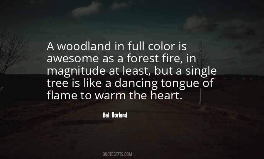 Illuminare Makeup Quotes #954689