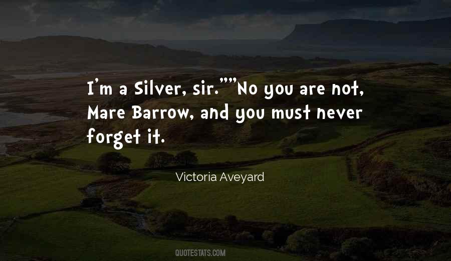 Schiavoni Quotes #864098