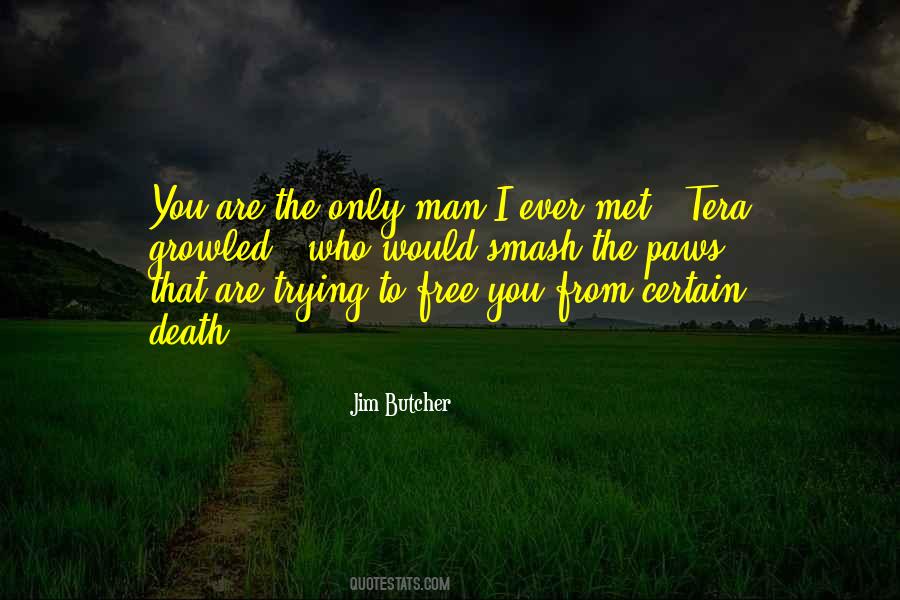 Robustness Testing Quotes #1269238
