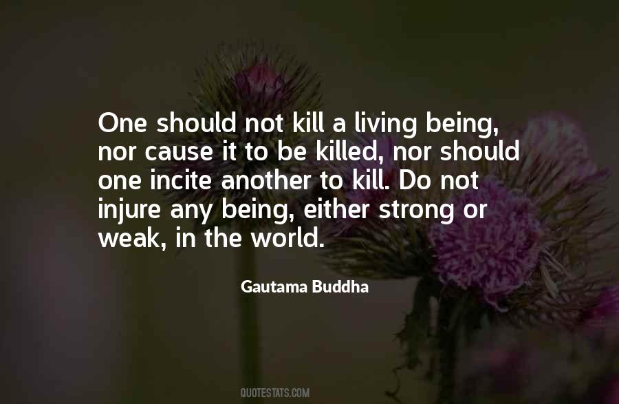 Kalvoda Testy Quotes #625295