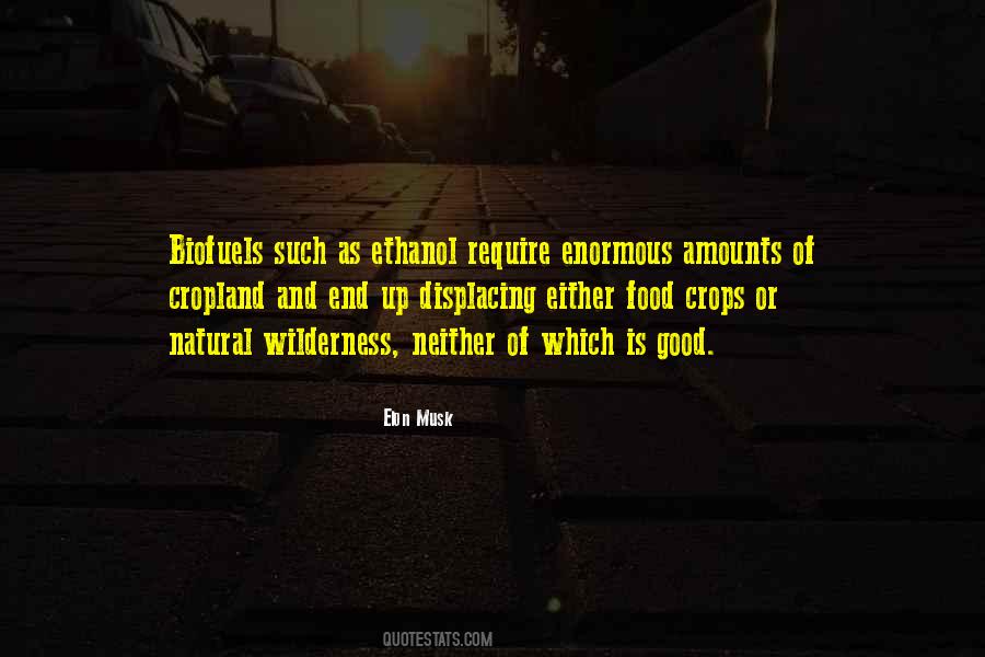 Chammas Marcheteau Quotes #1871013