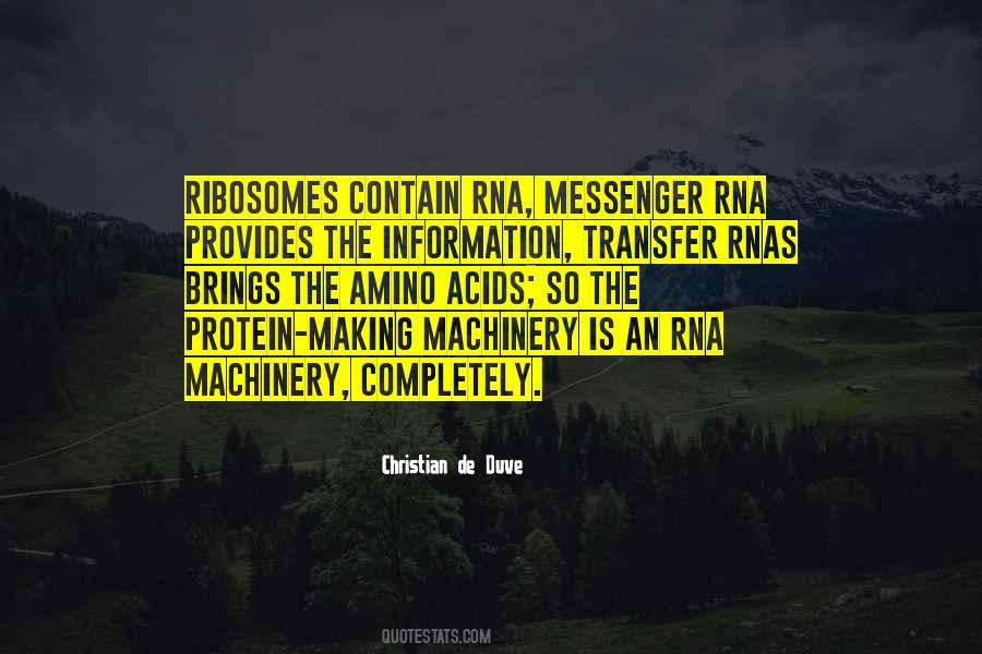 Information Transfer Quotes #1034929