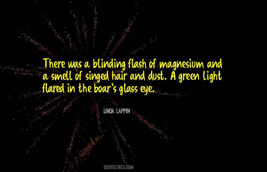 Flash Of Light Quotes #805215