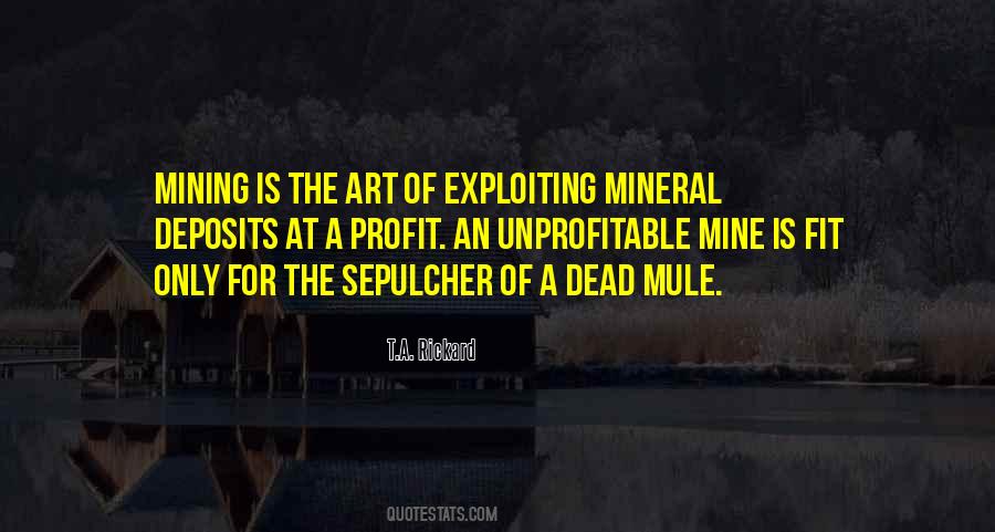 Niceswanger Photography Quotes #1688431