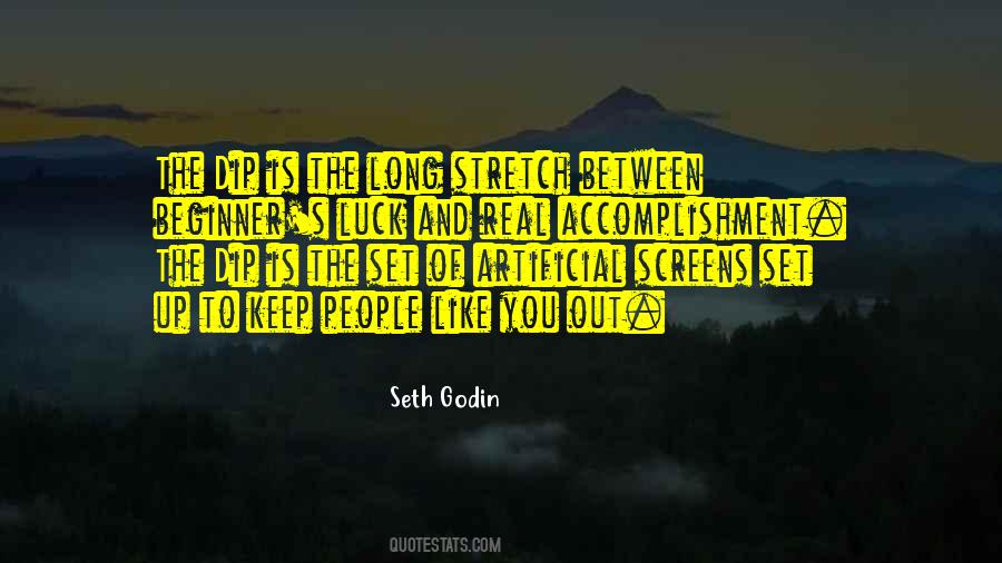 Dip Seth Godin Quotes #1418615