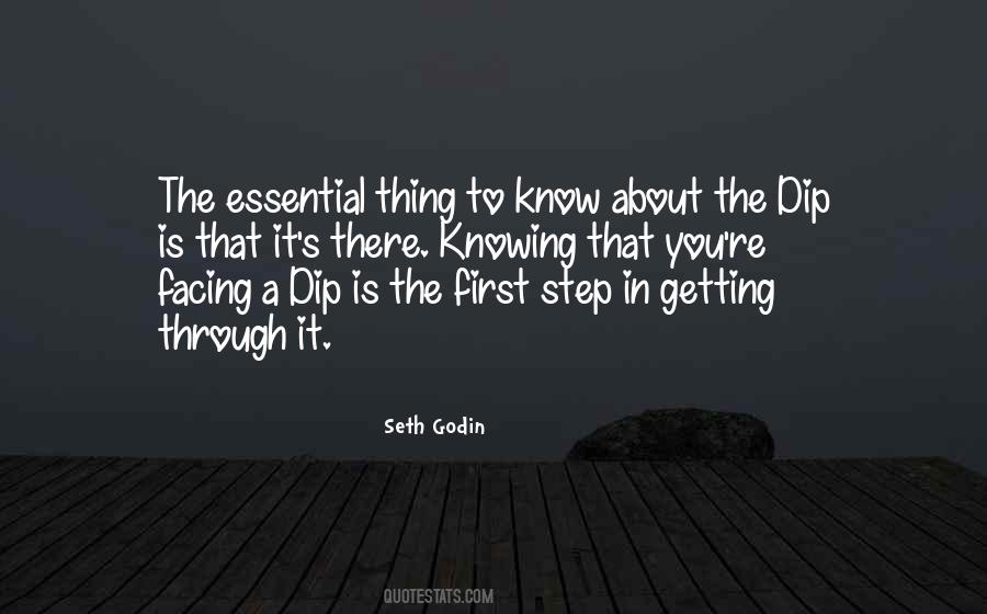 Dip Seth Godin Quotes #372106