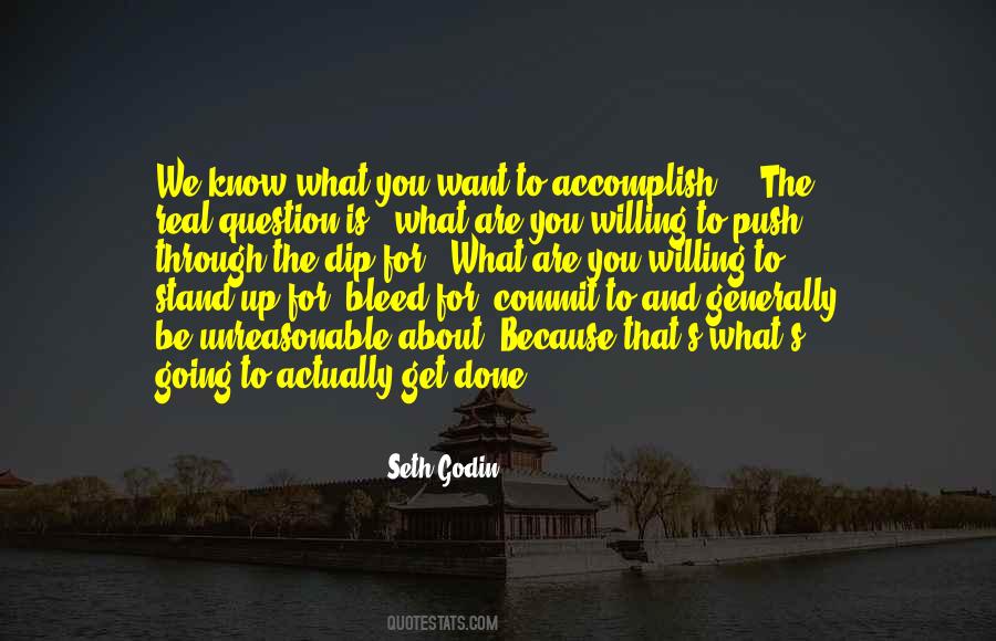Dip Seth Godin Quotes #886603