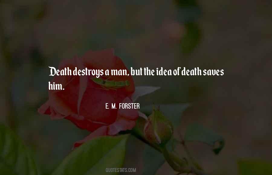 Phenomenally Beautiful Quotes #1839131