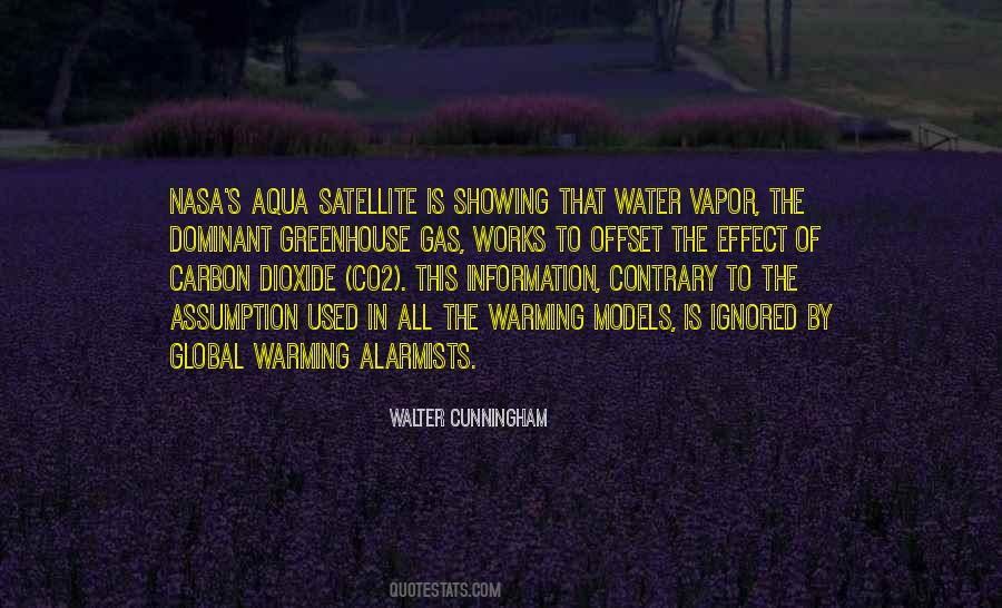 Psychiatric Hospitalization Quotes #653346