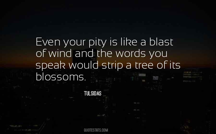 Typhaine Clayderman Quotes #458075
