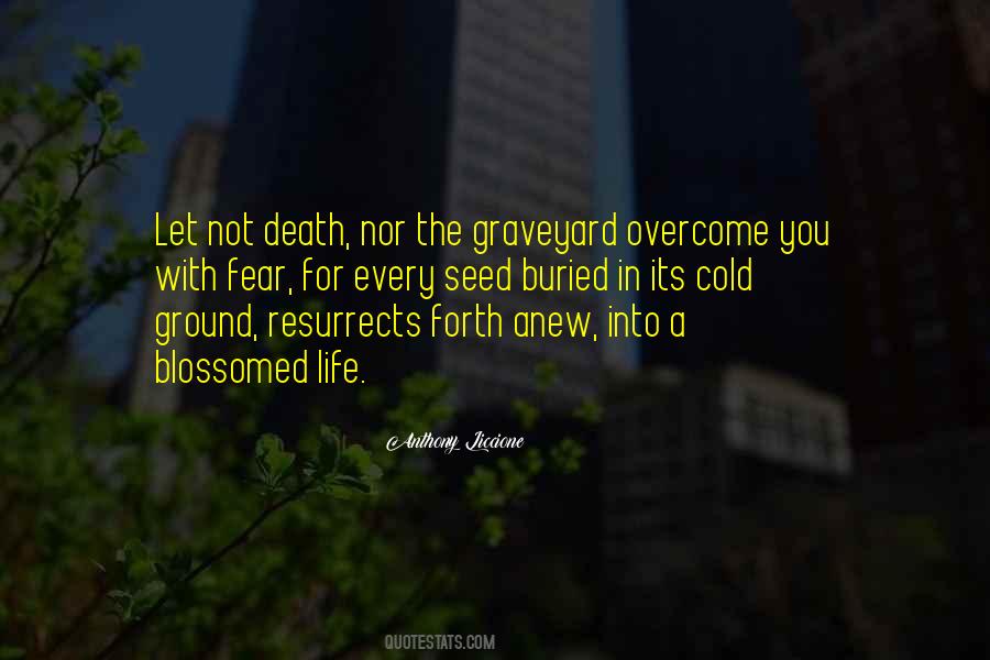 Michael Andris Quotes #324636