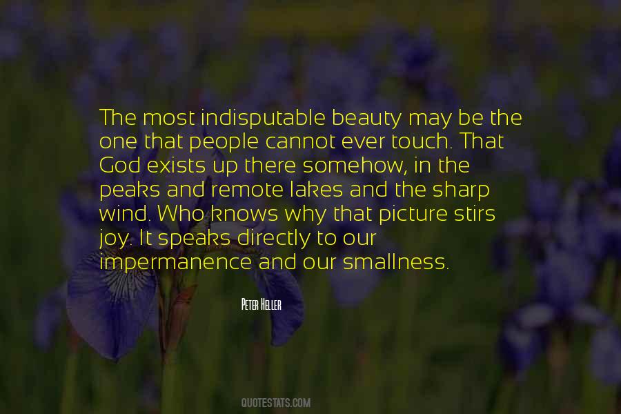 Picture Speaks Quotes #652817