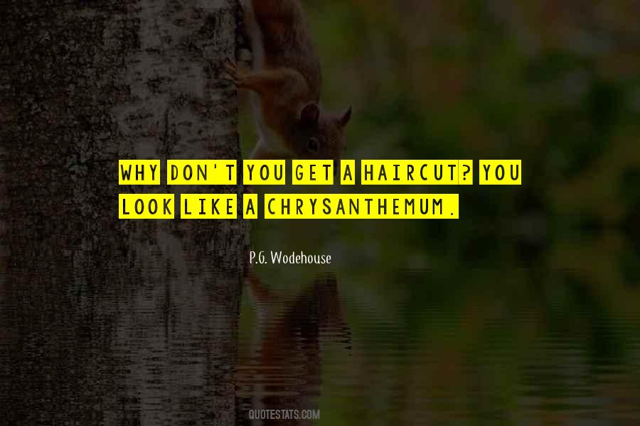 Zirbelkiefer Quotes #1484784