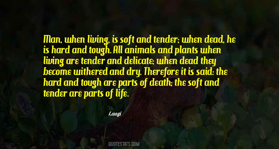 Quotes About Life Plants #1423394