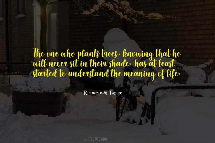 Quotes About Life Plants #16924