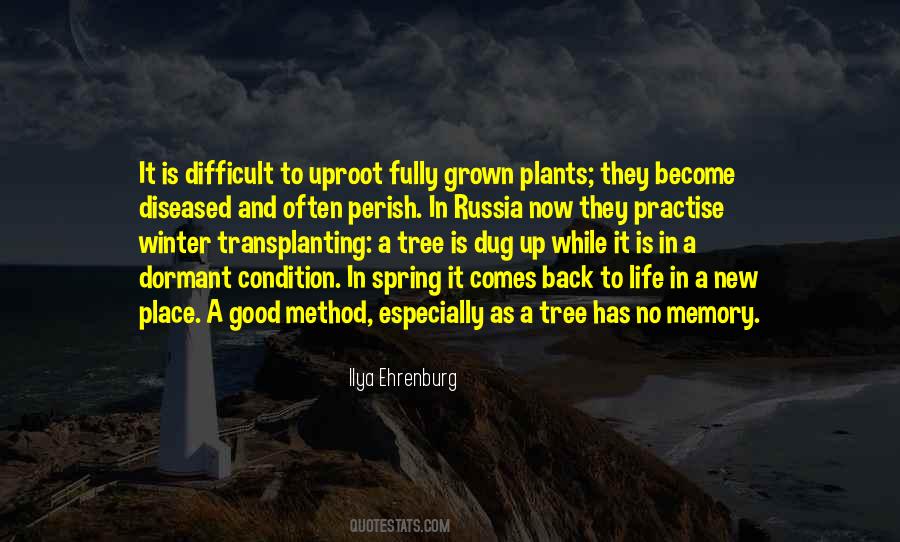 Quotes About Life Plants #764658